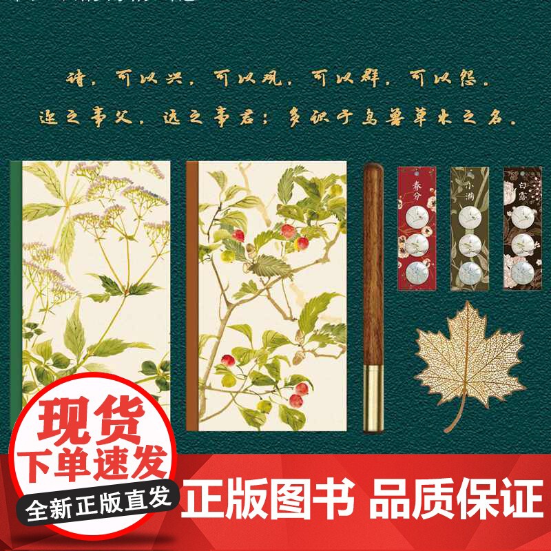诗经草木集 礼盒装 绿手指文创 520礼遇记 礼物女生高清大图
