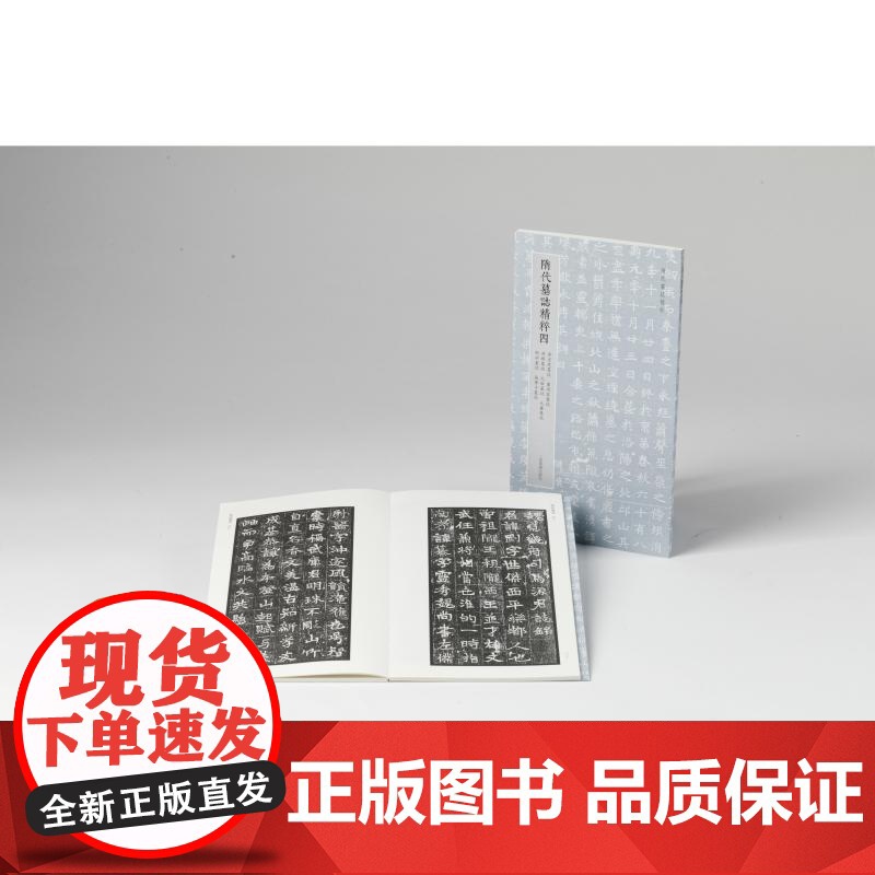 隋代墓志精粹四崔宣度卢思容源刚元俭元睿刘弘张摩子 本社编上海书画出版社精选书法资料鉴赏高清大图