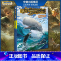 新版 恶战杀ren鲸 【正版】全套18册 哈尔罗杰历险记礼盒典藏版 亚马孙探险/勇探火山口 南海奇遇 儿童科幻冒险新版战
