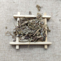 海金沙草 海金沙藤新鲜中药材店铺500克虾蟆藤 中草药大全