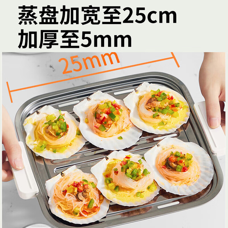 九阳(Joyoung)电蒸锅 DZ100HG-GZ605高清大图