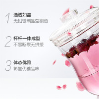 花茶杯T-10 BS-3047