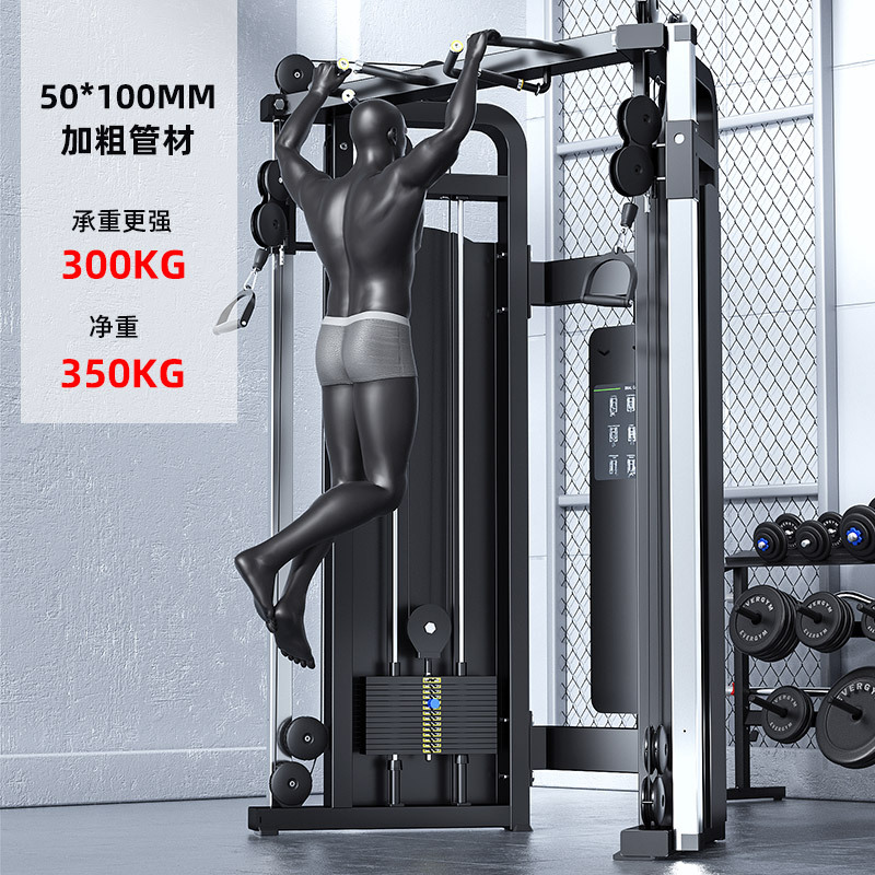 亿迈小飞鸟龙门架综合器械健身器材大全引体向上双臂机小飞鸟-EM1027A双臂机 (带后护板)高清大图