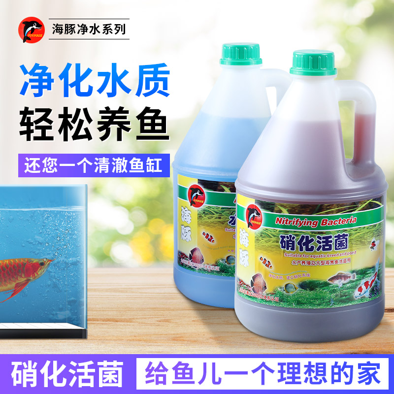 硝化菌大桶锦鲤鱼池净水细菌水族鱼缸水池水质稳定净水除氯高清大图