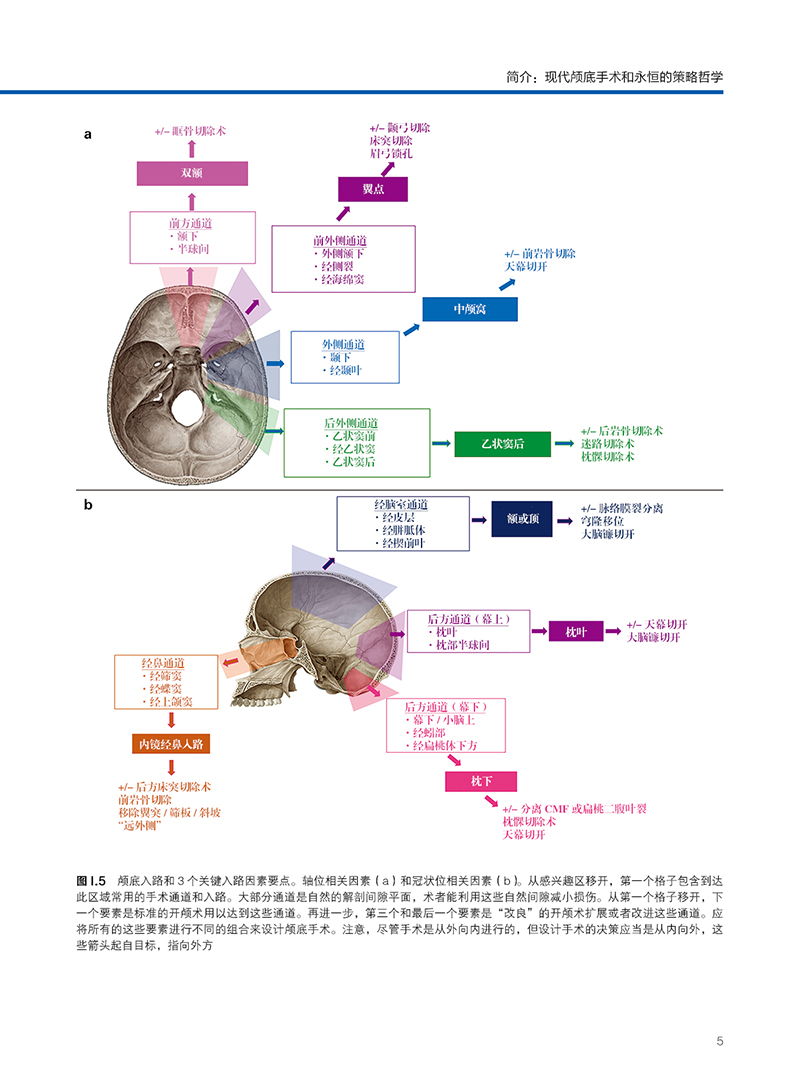 颅底手术策略 [正版]颅底手术策略 附视频 黄国栋主译 颅底肿瘤生物学特征 汇集著名神经外科专家治疗理念执行策略 辽宁科高清大图