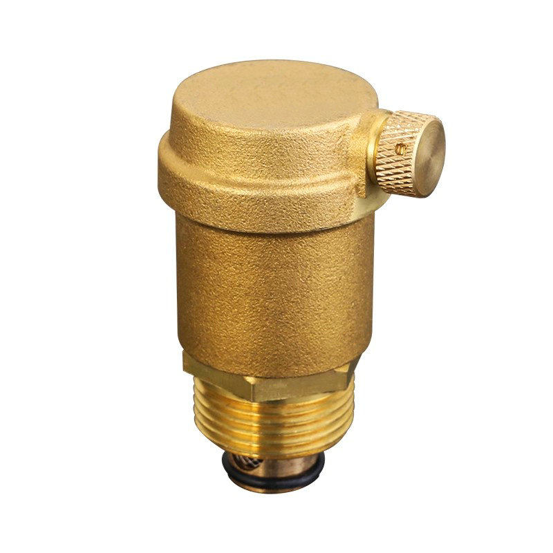 智铮朗月 自动排气阀 DN20 个