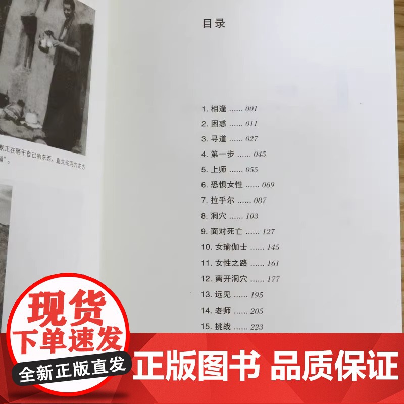 心湖上的倒影 给实修者的指导 厘清生活禅修困惑 分享超越极限的修行体验 外国哲学 丹津葩默著 哲学正版书籍深圳报业集团出高清大图