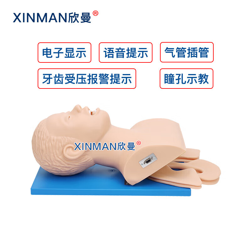 欣曼科教 电子人体气管插管操作训练模型 高级气道管理模拟人XM-5100高清大图
