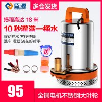 新款臣源直流潜水泵小型12V24V48V60伏 电动车电瓶水泵车高扬程抽水泵顶尚威廉