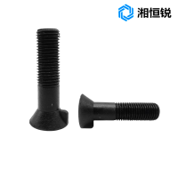 湘恒锐 沉头带榫螺栓 M20×55mm 个