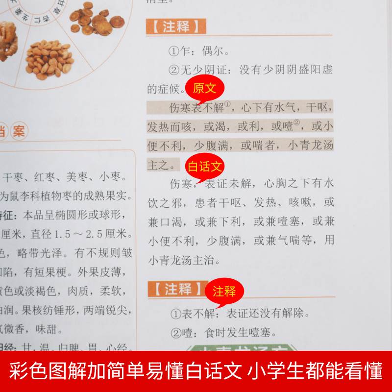 [醉染正版]中医生活彩色图解正版7册 本草纲目伤寒论黄帝内经神农本草经金匮要略温病条辨中医名著七册书籍大全入门基础理论养高清大图