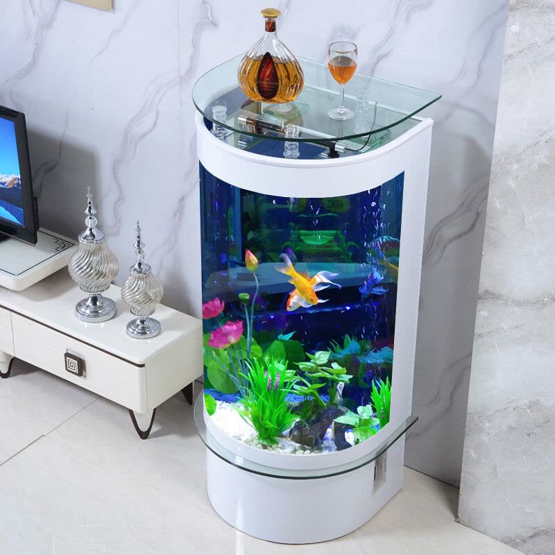 鱼缸客厅小型家用造景落地半圆形玻璃鱼缸水族箱生态免换水轻奢新款立式圆柱形鱼缸图片