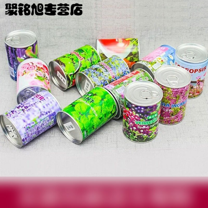 易拉罐罐头植物迷你花卉绿植种子办公室室内桌面创意趣味盆栽生活日用园艺用品花卉绿植盆栽