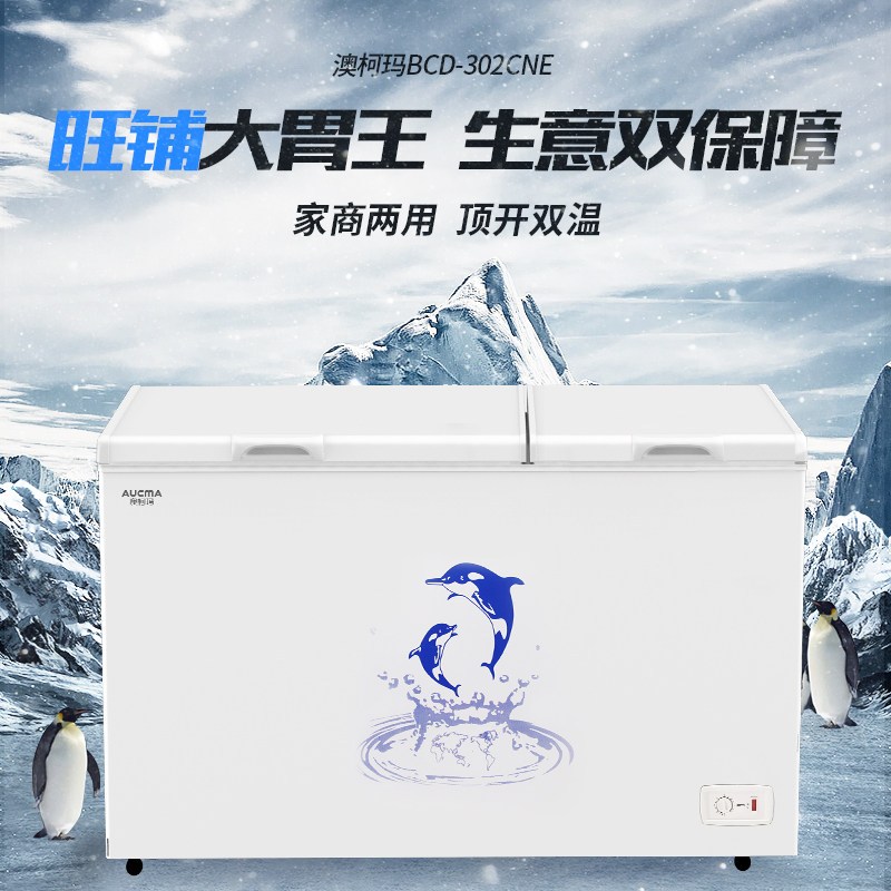 澳柯玛(AUCMA)家用302升小型双温冰柜卧式大容量冷藏冷冻柜 BCD-302CNE冷冻199升 冷藏103升