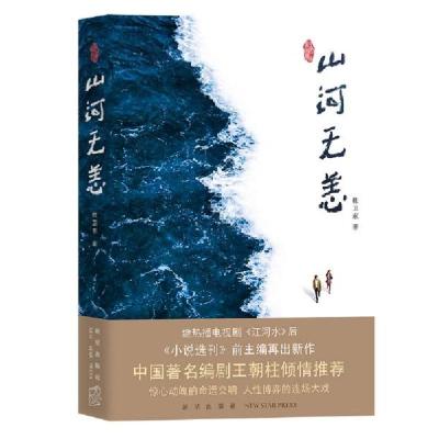 正版新书]山河无恙杜卫东著9787513342490