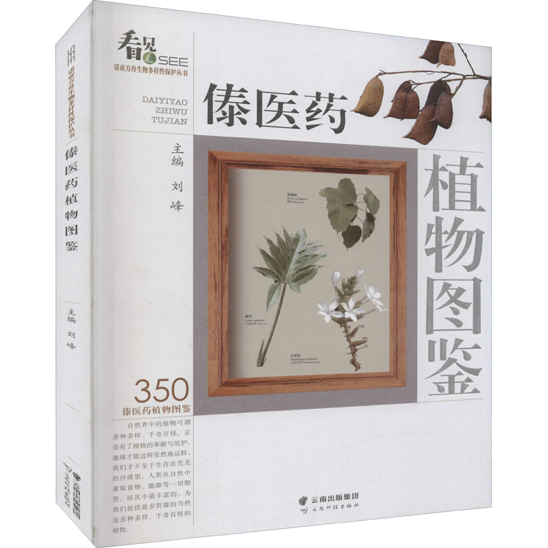 [M]傣医药植物图鉴-9787558736247高清大图