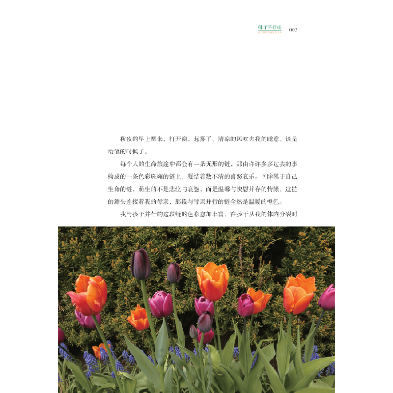 正版新书]母子平行线马孜9787571602857高清大图