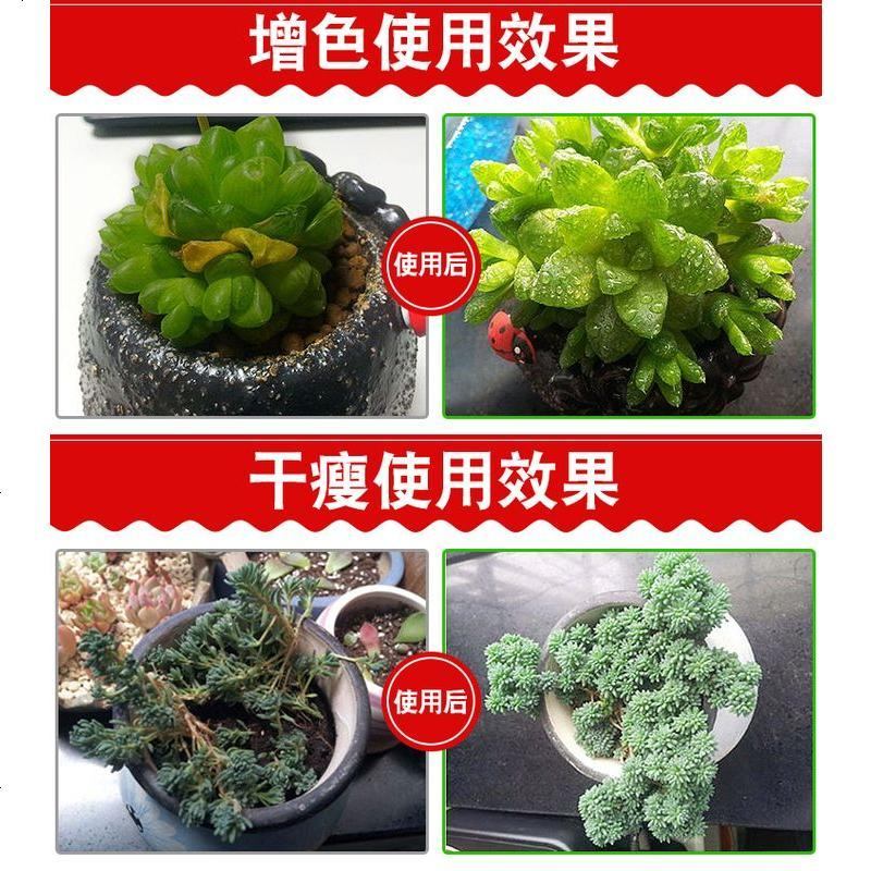 多肉专用肥料植物有机营养液防徒长增色肉肉盆栽植物叶面肥 邮