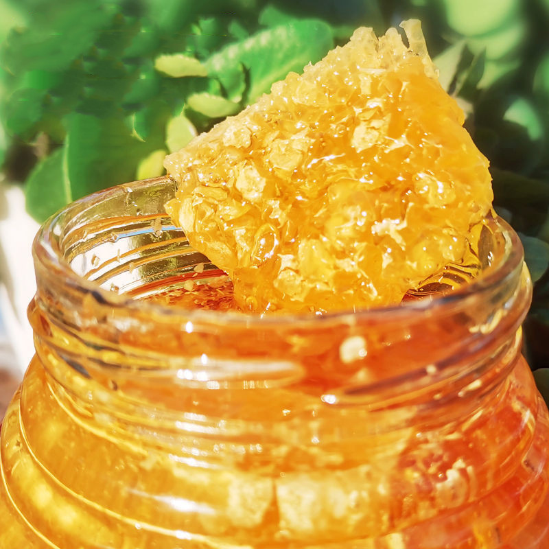 蜂巢蜜2斤野生深山蜂蜜块正宗土蜂蜜巢蜜糖罐装1000g