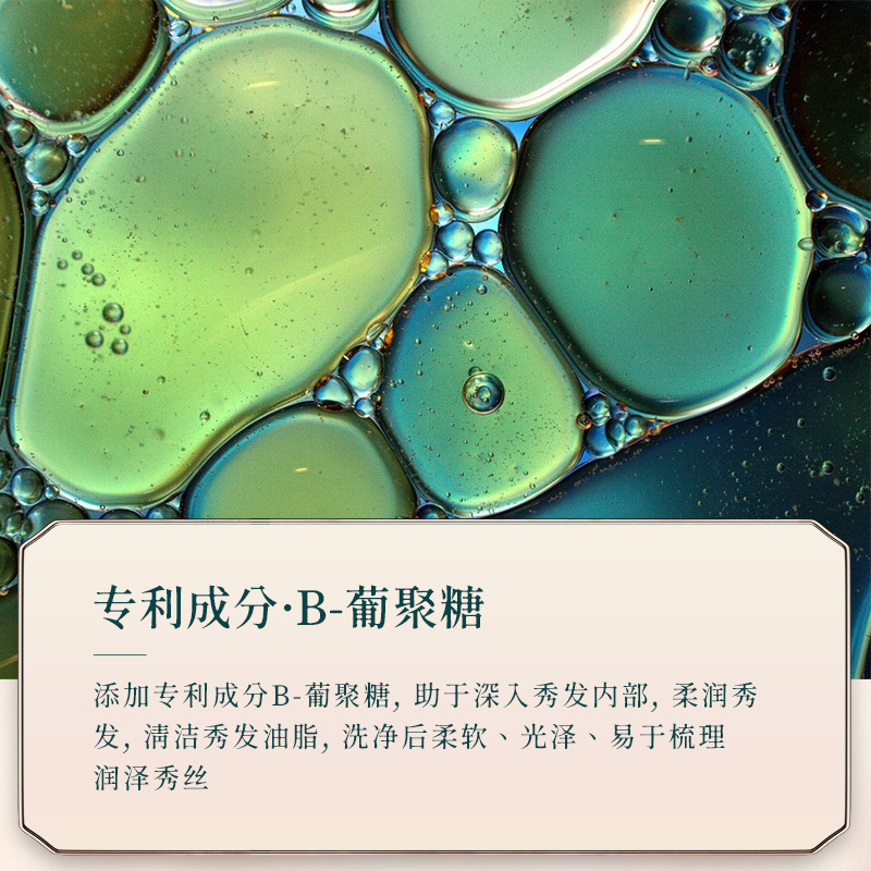 韩芬 姜养氨基酸蓬松洗发露520ml 补水温和洁净清爽绵密泡沫柔韧丝滑舒适净爽润养头皮洗发露润发洗护