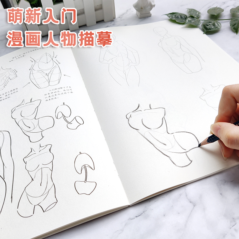 [正版]漫画人物描摹本结构动态篇+美少女篇+Q版人物篇全三册 漫画描摹本 铅笔画素描速写人物教程书 漫画手绘临摹零基础入高清大图