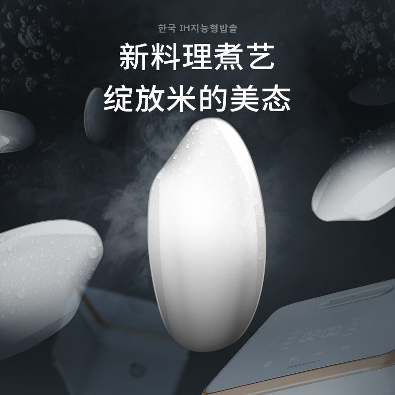 大宇(DAEWOO)电饭煲电饭锅 4L 家用IH电磁加圆灶精铁内胆FB01白色