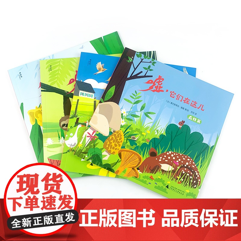 嘘,它们在这儿:雨林篇高清大图