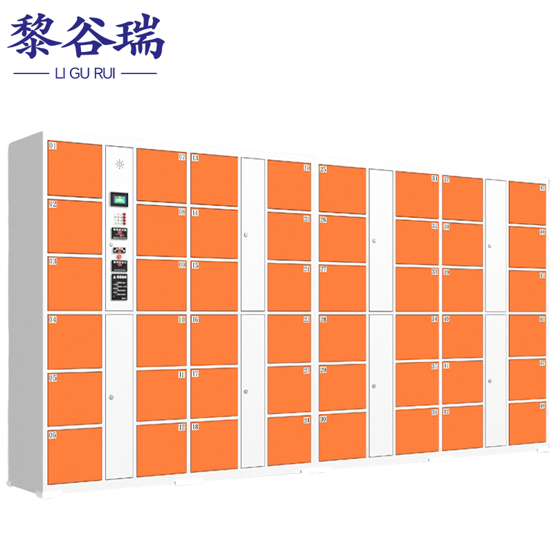 黎谷瑞智能寄存柜 存包柜48门条码台