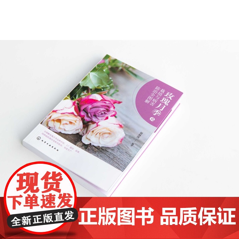 玫瑰月季栽培与病害防治全图解 形态特征与生态习性 常见栽培品种与繁殖技术 露地栽培主要技术 主要病虫害及防治 养花爱好者高清大图