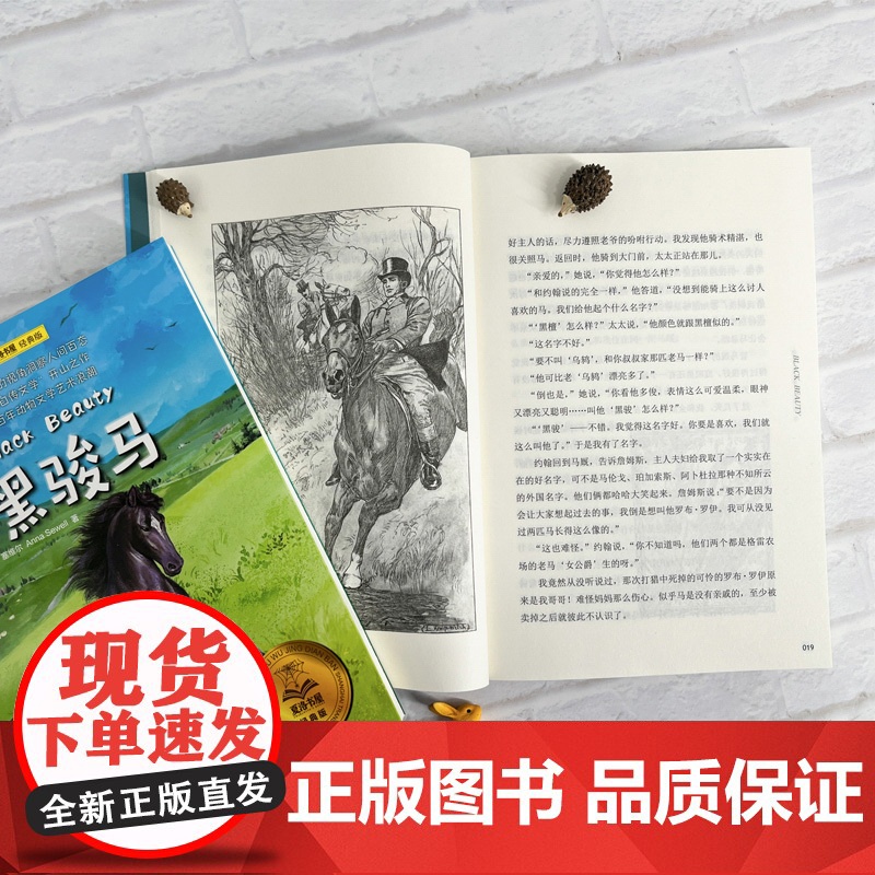 [ 正版童书]黑骏马 夏洛书屋经典版英安娜塞维尔著上海译文爱护动物洞察人性成长故事名家名译世界经典动物故事儿童文学高清大图