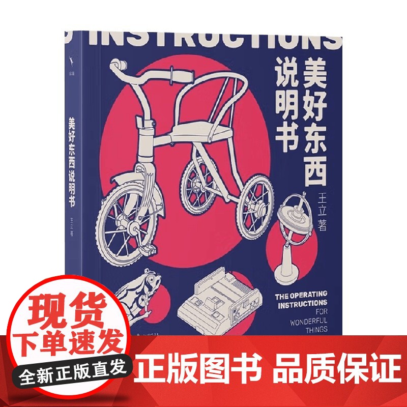 美好东西说明书 王立 著 中国文学高清大图