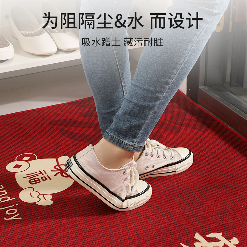 入户门门垫进门门口耐用垫子2025新款室内防滑脚垫玄关地毯高清大图