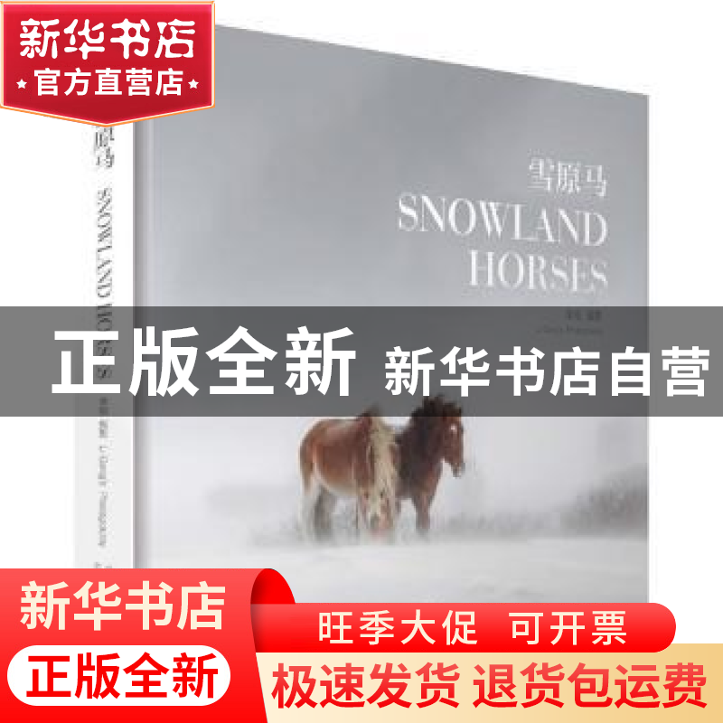 正版 雪原马 李刚摄影 北京美术摄影出版社 9787805015613 书籍