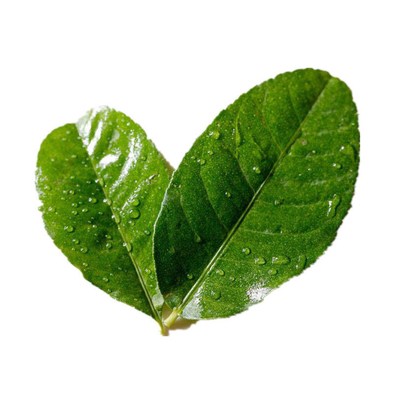 柠檬叶250g毛里橙叶新鲜蔬菜as