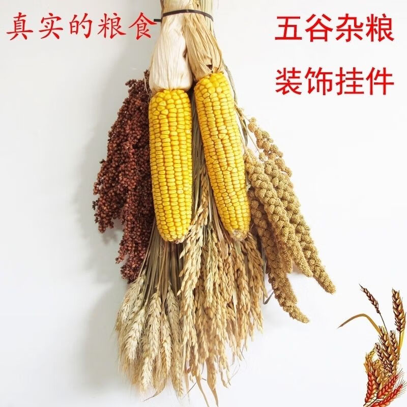 维诺亚真实五谷杂粮挂件玉米麦穗干花高粱田园农家乐装饰农作物五谷丰登