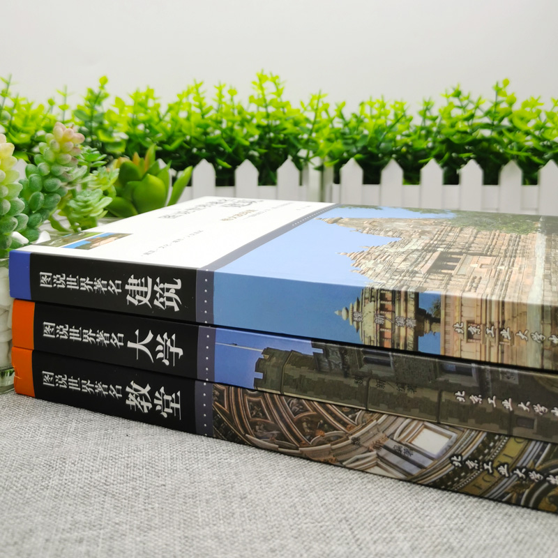[正版]3册图说世界著名教堂建筑大学全球有代表性的各式经典伟大的建筑教堂建筑的概况结构特点特色和功能揭秘中外名建筑书籍高清大图