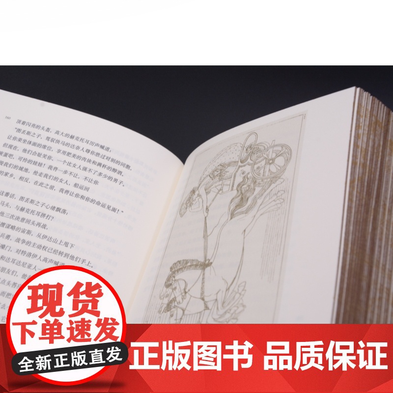 荷马史诗:伊利亚特·奥德赛:插图珍藏本 古希腊古典文学上海译文出版社外国诗歌高清大图