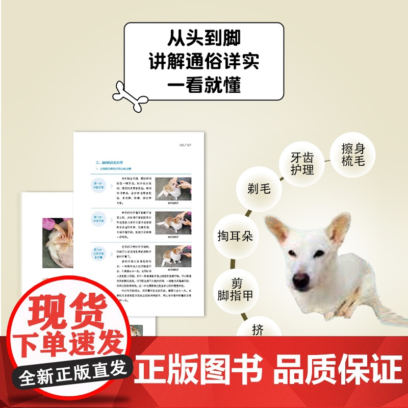 狗狗小病不求医养狗书籍宠物医疗养狗书籍家庭医学狗狗病狗护理宠物狗疾病鉴别诊断 与防治狗病狗护理健康常识常见高清大图