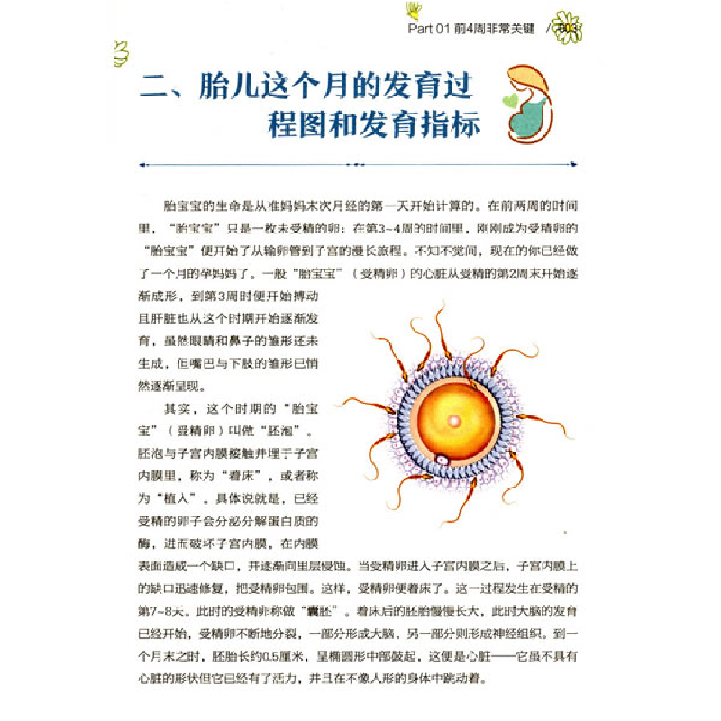 正版新书]孕检全程指导曹伟9787538896145高清大图