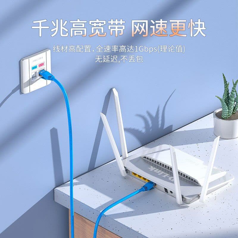 胜为六类千兆非屏蔽网络跳线 LC-6100C 无氧铜 蓝色 10米图片