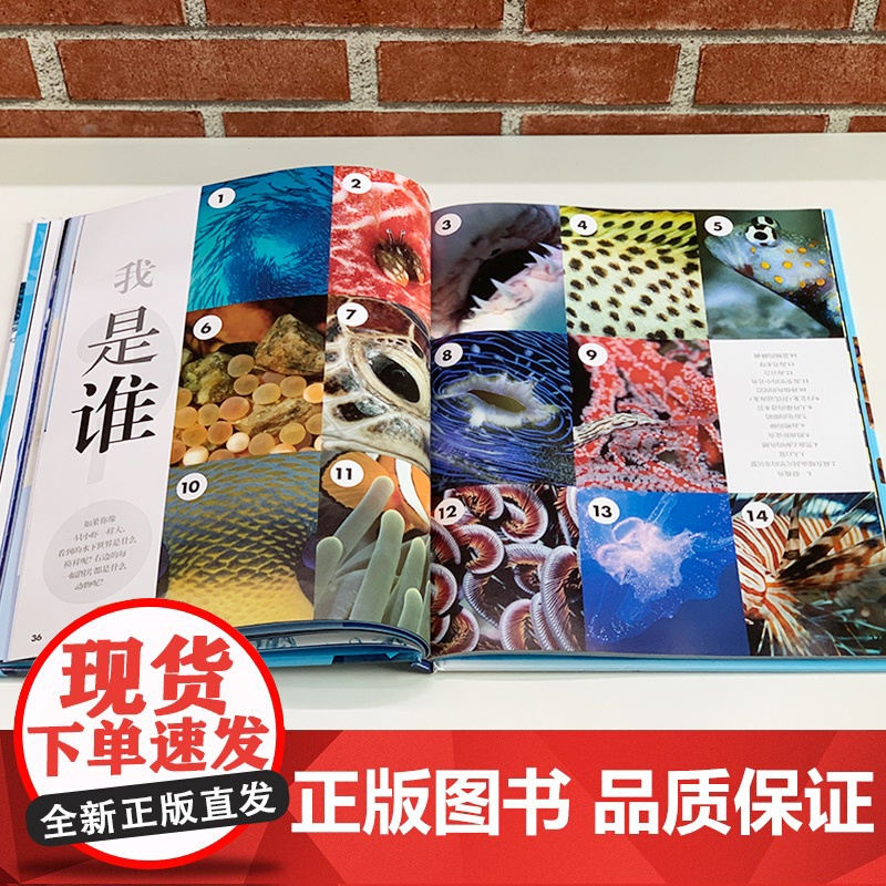 dk动物百科系列:鱼和其他海洋生物动物百科全书儿童少儿课外读物百科大全书小学生科学科普知识图书世界课外读儿童海底世界大全高清大图