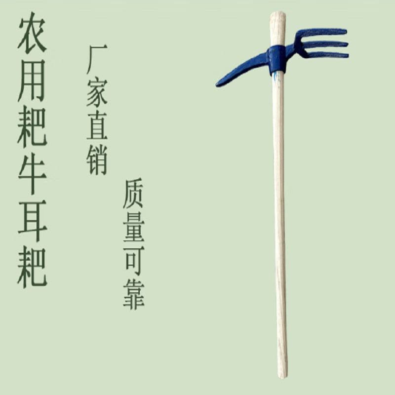 黄麓 三齿一尖 三齿一尖 带柄 个图片