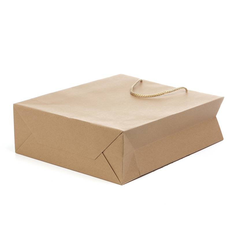 稳帆甄选 牛皮纸袋21*27*10cm D2127/个高清大图