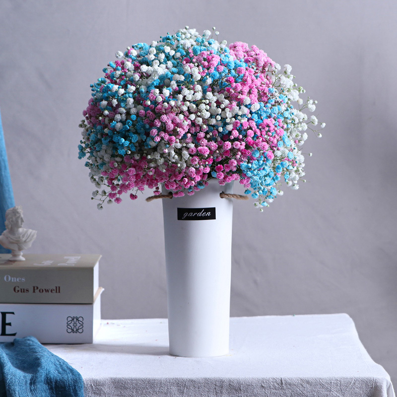 满天星花束干花干鲜花真花摆件客厅装饰插花大束 粉 白 蓝满天星大束 不含瓶 报价 参数 图片 视频 怎么样 问答 苏宁易购