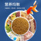 小型鱼粮鱼食500g海豚鱼热带鱼金鱼观赏鱼饲料通用型1mm
