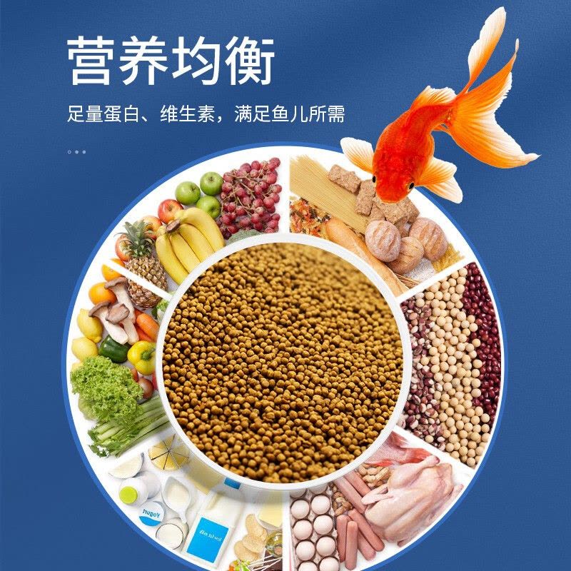 小型鱼粮鱼食500g海豚鱼热带鱼金鱼观赏鱼饲料通用型1mm图片