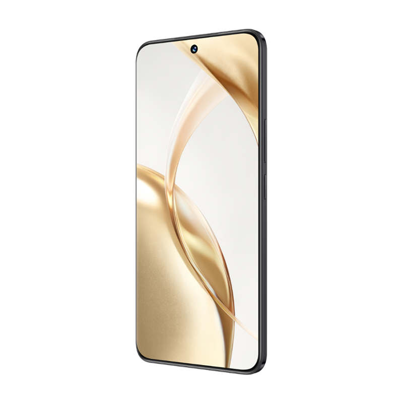 荣耀200 12GB+512GB 绒黑色 5G手机 5200mAh青海湖电池 5000万三主摄写真相机 荣耀绿洲护眼屏 学生拍照老人备用智能机高清大图