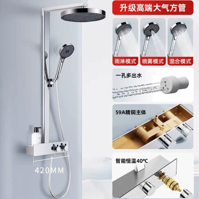 汉德斯科恒温淋浴花洒套装沐浴器全铜增压花洒淋浴家用浴室淋雨喷头大置物主体 电镀42cm置物主体