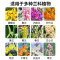 兰灵王兰花专用肥营养液肥料促花活化剂药蝴蝶兰科兰陵王微生物