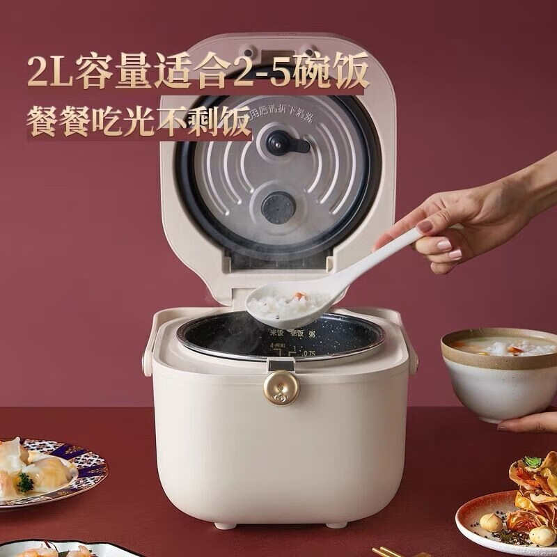 九阳(Joyoung)电饭煲家用小型迷你锅多功能智能蒸煮 F20FZ-F131(A)高清大图
